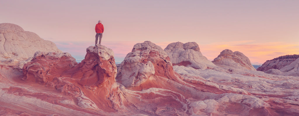 Nutritional Powders / Electrolytes/ Collagen/ Creatine - Pink Dahlia