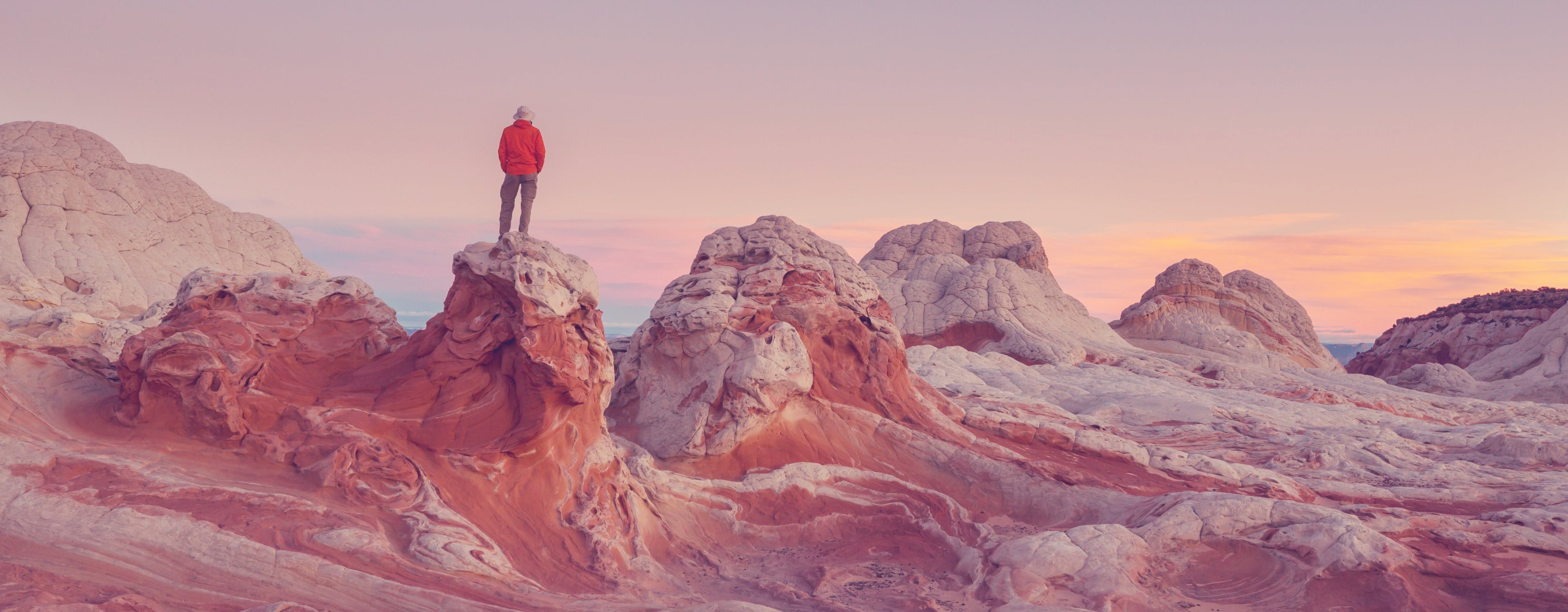 Nutritional Powders / Electrolytes/ Collagen/ Creatine - Pink Dahlia