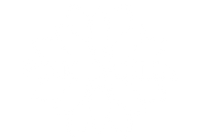 Pink Dahlia 