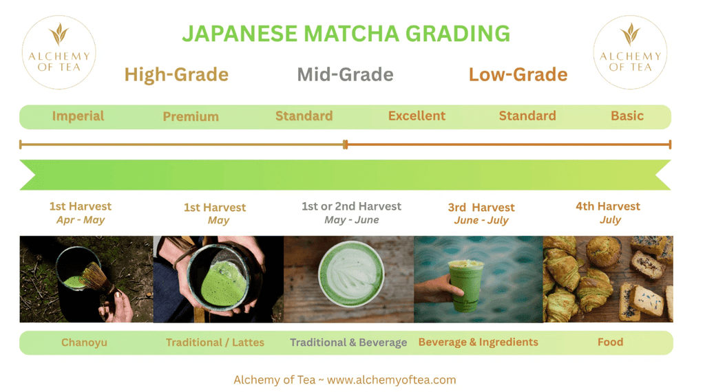 Alchemy of Tea - Japanese Ceremonial Matcha 30g - Pink Dahlia