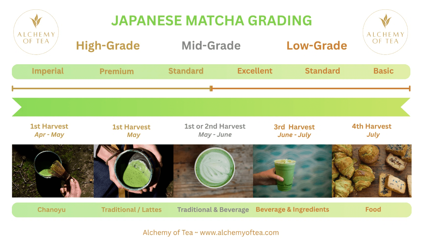 Alchemy of Tea - Japanese Ceremonial Matcha 30g - Pink Dahlia