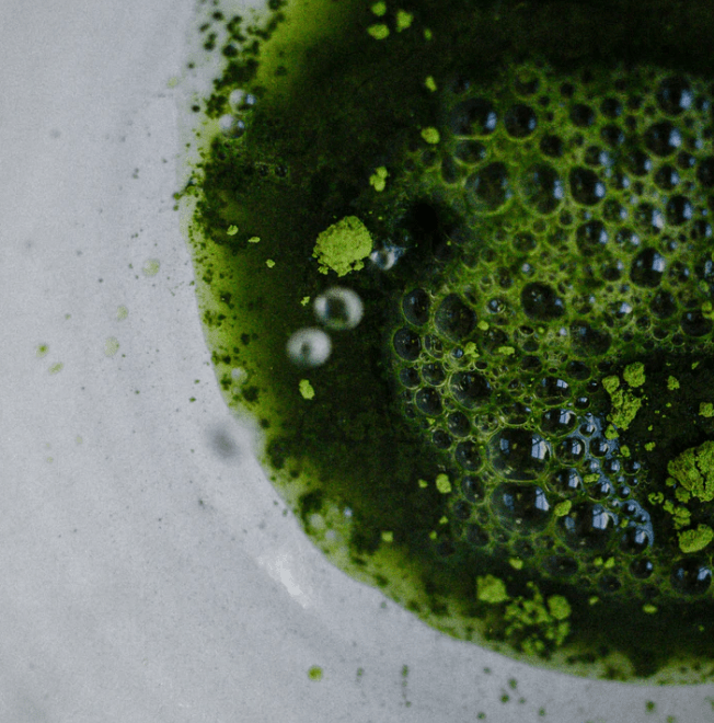 Oscar's Matcha - Pure Authentic Japanese Matcha 30g - Pink Dahlia
