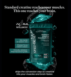 Primal Wellness Crea-Blast + - Pink Dahlia