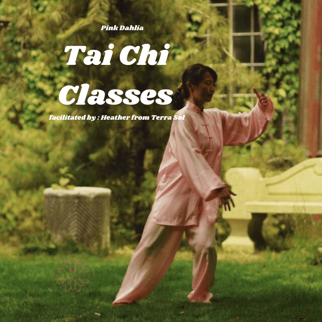 Tai Chi Class - Pink Dahlia